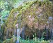 Natura